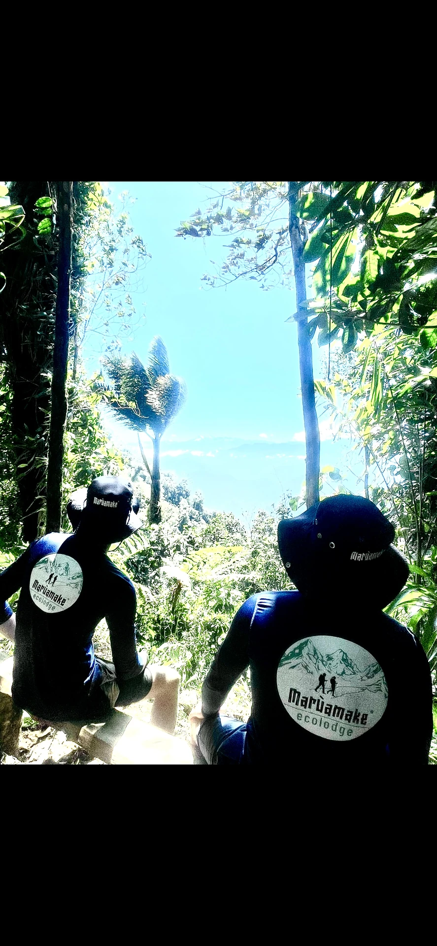 Bosque Nublado